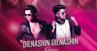 Dilnashin Dilnashin (Remix) - DJ Sunny & DJ Swap India