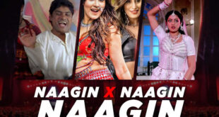 Naagin X Naagin X Naagin (Club Mix) - DJ Ravish DJ Chico