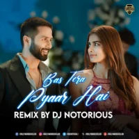 Bas Tera Pyaar (Official Remix) - DJ Notorious