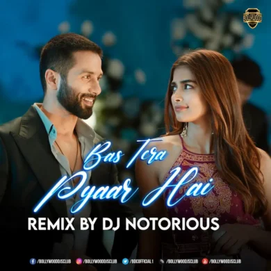 Bas Tera Pyaar (Official Remix) - DJ Notorious